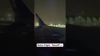 Dubai Flight Takeoff [upl. by Lapham]