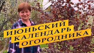 Лунный посевной календарь огородника на июнь 2022 года [upl. by Eilasor237]