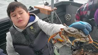 crabbing in tillamook bay oregon 🦀🦀🦀 [upl. by Ajak]