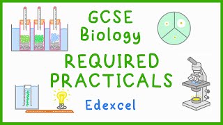 All BIOLOGY Required Practicals  GCSE Science Edexcel [upl. by Nata]