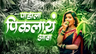 Padala Piklay Amba Dj Marathi Song पाडाला पिकलाय आंबा [upl. by Ardene]