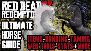 HORSES THE ULTIMATE COMPREHENSIVE GUIDE IN RED DEAD REDEMPTION 2 [upl. by Laurent]