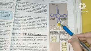 Wobble HypothesisProtein synthesis Part 3BiochemistryLippincott [upl. by Kentiggerma]