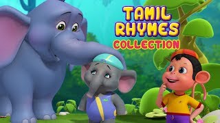 சின்ன யானை and more Animal Rhymes  Tamil Rhymes for Children  Infobells [upl. by Arianie]