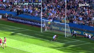 Top 5 GAA Hurling Goals  2013 [upl. by Eilatan]