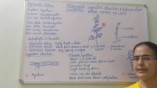 Alternaria Vegetative Structure and Reproduction BSc Part I Dr Vinod Kumari [upl. by Anaya]