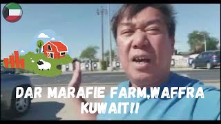 DAR MARAFIE FARMWAFFRA KUWAIT [upl. by Wahkuna]