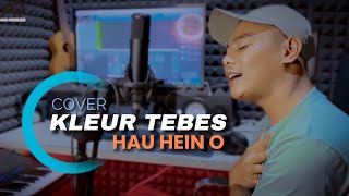 LAGU DANSA TERBARU 2024  KLEUR TEBES HAU HEIN O  COVER ADO RIVALDO [upl. by Nenney535]