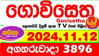 Govisetha 3896 20241112 Today nlb Lottery Result අද ගොවිසෙත දිනුම් ප්‍රතිඵල Lotherai dinum anka [upl. by Strauss948]