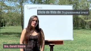 Ciclo de vida de Trypanosoma cruzi [upl. by Cristy]