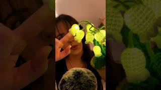 Flower Lamps and Clicky Whispers 🌼 asmr [upl. by Hsatan]