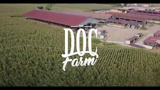 The Doc Farm  AZIENDA AGRICOLA PESENTI Video Completo [upl. by Ellehcer]