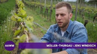 MullerThurgau German Winemaker Jens Windisch Explains [upl. by Mur]