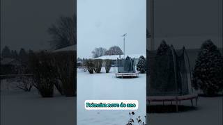 Nevasca ❄️🌨️ snowday snow nevasca neve dailyvlog shorts familianoseua brasileirospelomundo [upl. by Analram]