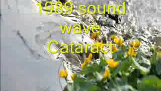 Rife Frequency  Cataract  Binaural Beats  1989 sound wave [upl. by Whittemore]