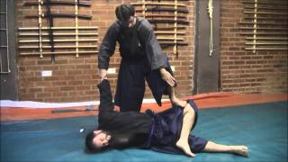 Ogawa Ryu  Aikijujutsu  Training moments  2014 [upl. by Neva]