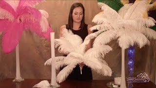 Ostrich Feather Centerpieces  How To DIY [upl. by Adnert]