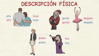 Aprender español Vocabulario descripción física nivel básico [upl. by Eatnuahc175]