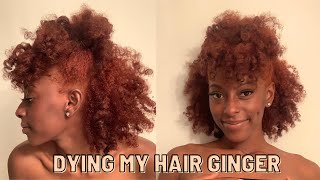 Dying My Curly Natural Hair Orange  Copper NO BLEACH 2021 [upl. by Blount12]