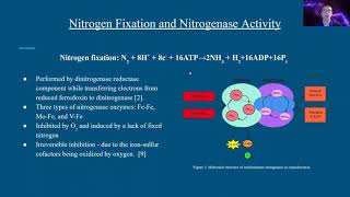 HYDROGEN PRODUCTION BY CYANOBACTERIUM ANABAENA VARIABILIS [upl. by Ynots]