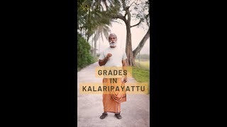 Grades in Kalaripayattu  Does Kalari have a Ranking System to distinguish Experts from Learners [upl. by Beckett727]