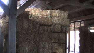 Timber frame straw bale house tour during construction [upl. by Regnig]