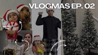 VLOGMAS EP 02 quotADDY WAS SO HAPPY TO SEE ELFIE AGAIN  SETTING UP CHRISTMAS TREESquot [upl. by Nwahsit937]