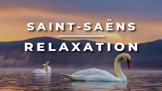 SaintSaëns  The Swan  Relaxing Classical Cello and Piano Music  1 HOUR [upl. by Sirahs]