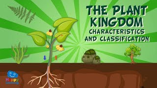 The Plant Kingdom Characteristics and Classification  Educational Videos for Kids [upl. by Oinimreh815]