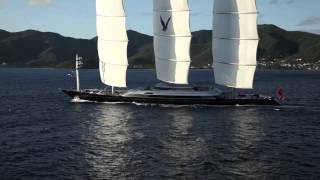 Maltese Falcon 2011 [upl. by Anastase]