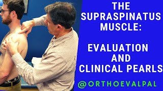 Supraspinatus Muscle Evaluation with Paul Marquis PT [upl. by Toft]