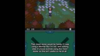 Lets Play Pokemon Black Part 9 Chasing Team Plasma in Pinwheel Forest catching Venipede [upl. by Ecerehs]