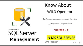 Wild Operator Like operator in sql Server [upl. by Chandos113]