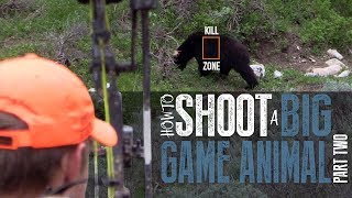 How to Shoot an Animal with a Bow Part 2 Bow Hunting [upl. by Zailer]