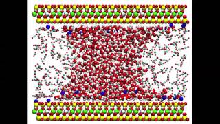 Movie 941 Molecular dynamics simulation of clay wetting [upl. by Cicenia]