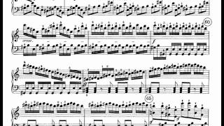 Beethoven  Waldstein Sonata 1st mvmt [upl. by Macario101]