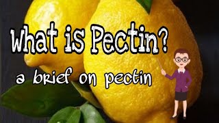 What is pectin Learn it and boost your knowledge [upl. by Sirraj]