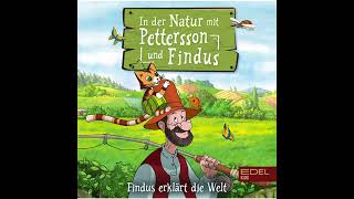 Pettersson und Findus  HörspielfürKinder KinderHörspiel [upl. by Ylera]