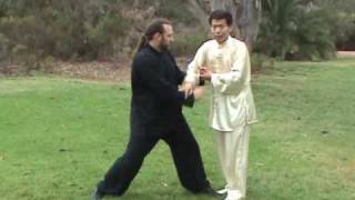 Tai Chi Taiji Selfdefense Application Traditional Yang Long Form 2 [upl. by Orelia]