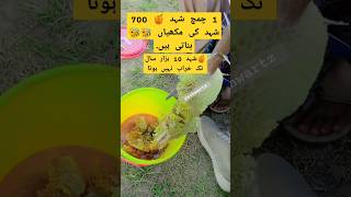 facts about honey honey honeybee honeycomb facts bee trending whatsapp viralvideo sindhi [upl. by Llehcar]