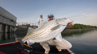 Multi Species Madness Fishing At The Dam [upl. by Michaeline]