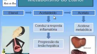 Metabolização do álcool parte 1 [upl. by Annairda]