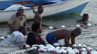 Fishing at Jan Thiel Bay  Curacao [upl. by Notsirb630]