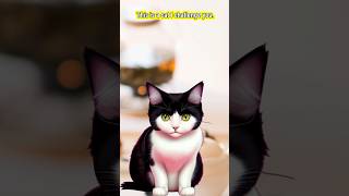 This is a cat I challenge you 🐈🤠 [upl. by Mariko]