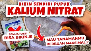 MAU TANAMANMU BERBUAH MAKSIMAL RAHASIA MEMBUAT PUPUK KALIUM NITRAT KNO3 FASE GENERATIF [upl. by Adran]