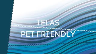 TELAS PET FRIENDLY [upl. by Urata]