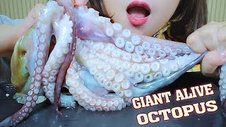 ASMR EATING ALIVE GIANT OCTOPUS WITH SPICY SAUCE EATING SOUNDS  LINHASMR 먹방 [upl. by Reteid]