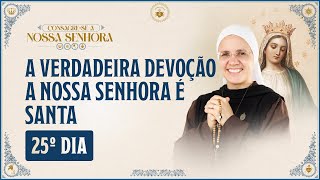 Consagração a Nossa Senhora 2024  25º dia  A verdadeira devoção a Nossa Senhora é Santa  Hesed [upl. by Leggat]