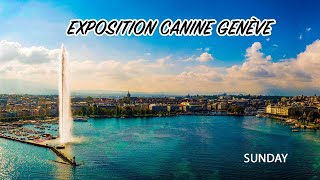 Exposition Canine Genève 2023  SUNDAY [upl. by Faubion]