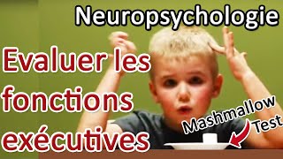 NEUROPSY Les stratégies dévaluation des fonctions exécutives [upl. by Edita]